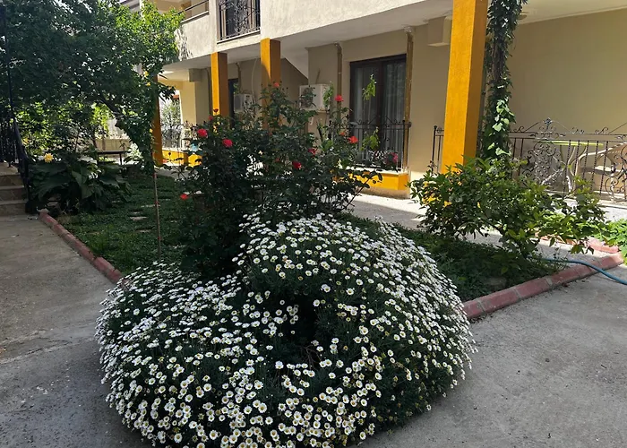 Grand Teoshan Ve Apartament