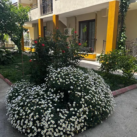 Grand Teoshan Ve Apartment