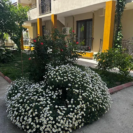 Grand Teoshan Ve Apartment *