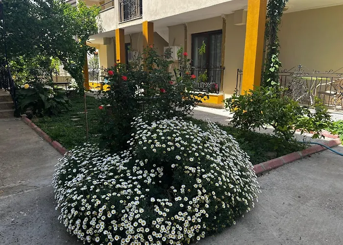 Grand Teoshan Ve Apartmán *